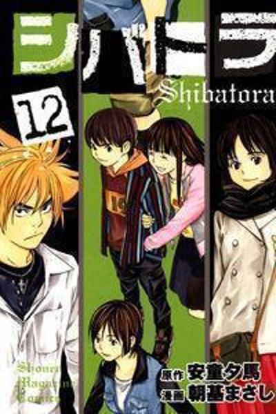 Shibatora