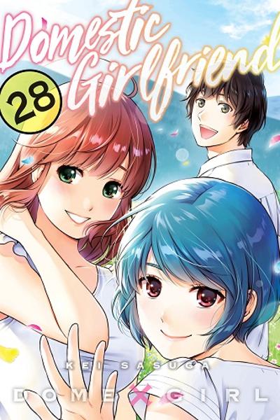 Domestic na Kanojo